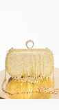 Fringy Purse