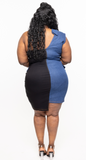 Toni Two Toned Curvy Dress